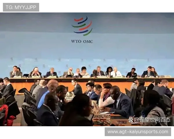 商务部:不再寻求WTO特殊待遇体现大国责任,wto业务 商务部:不再寻求WTO特殊待遇体现大国责任,wto业务