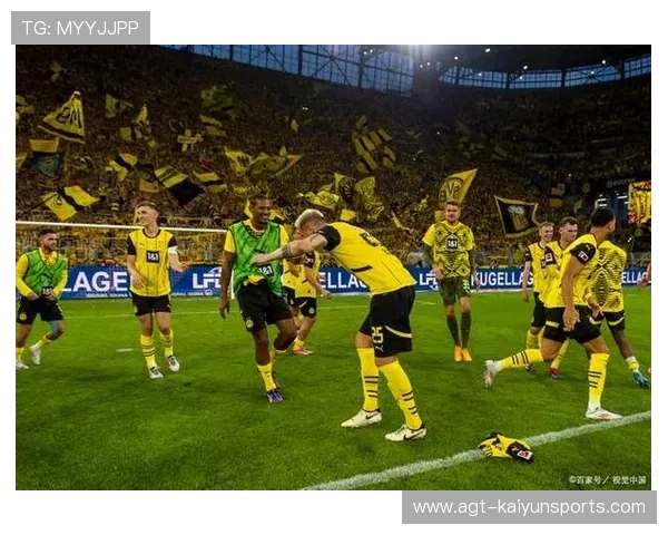 多特磨刀霍霍，海登海姆成试金石？，多特蒙德霍芬海姆