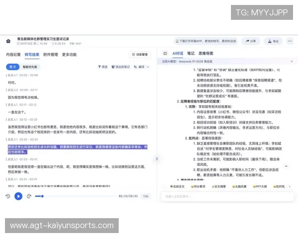 执行效率评估报告